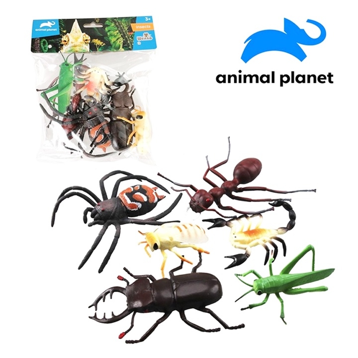 Zvířáka hmyz > 207518